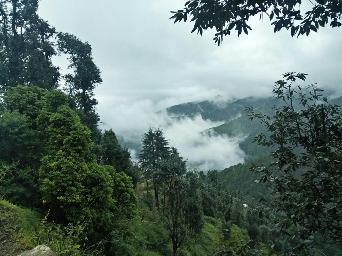 Royal Residency Otel New Tehri Oda fotoğraf